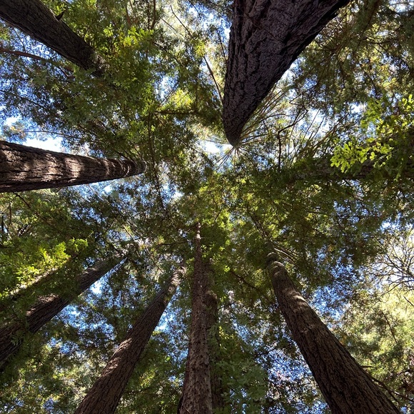 Meet your Posher, Hope - Picture 1 of 1